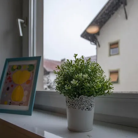 Apartment Deluxe Innsbruck City Apartment Innsbruck