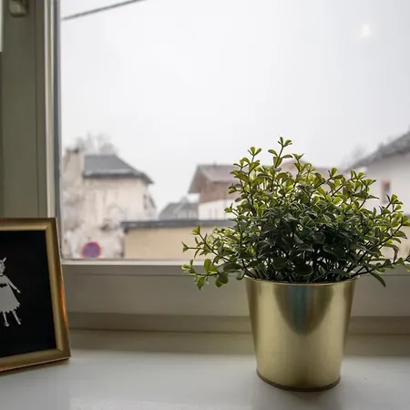 Deluxe Innsbruck City Apartment Innsbruck